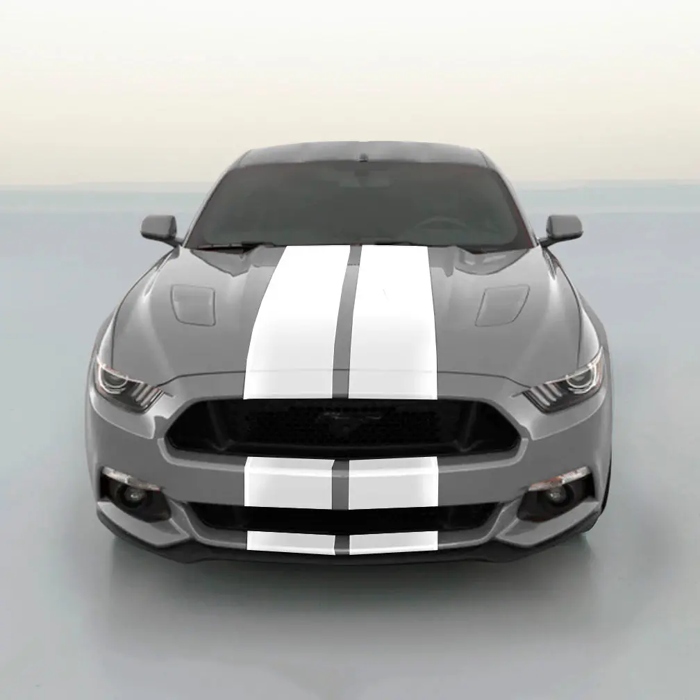 Ford Mustang Dual Racing Stripe Kit - 2 Stripe 1