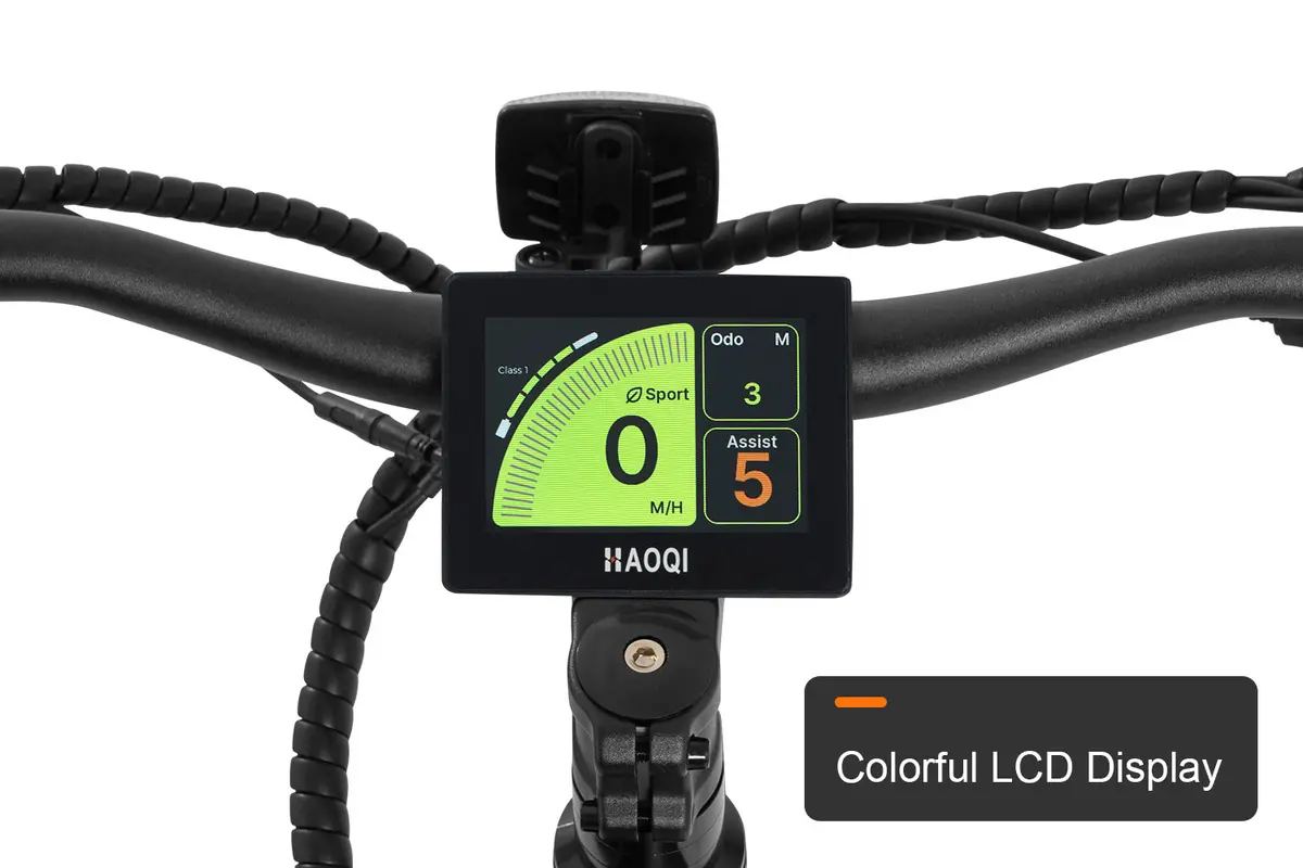 Haoqi Ebike Display(Mustang & Cheetah) 1