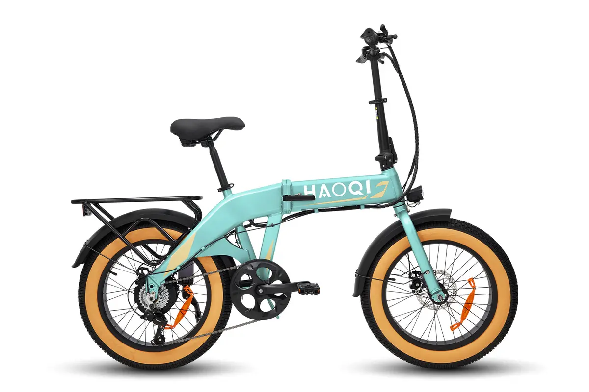 Haoqi Squirrel Folding Electric Bike 1