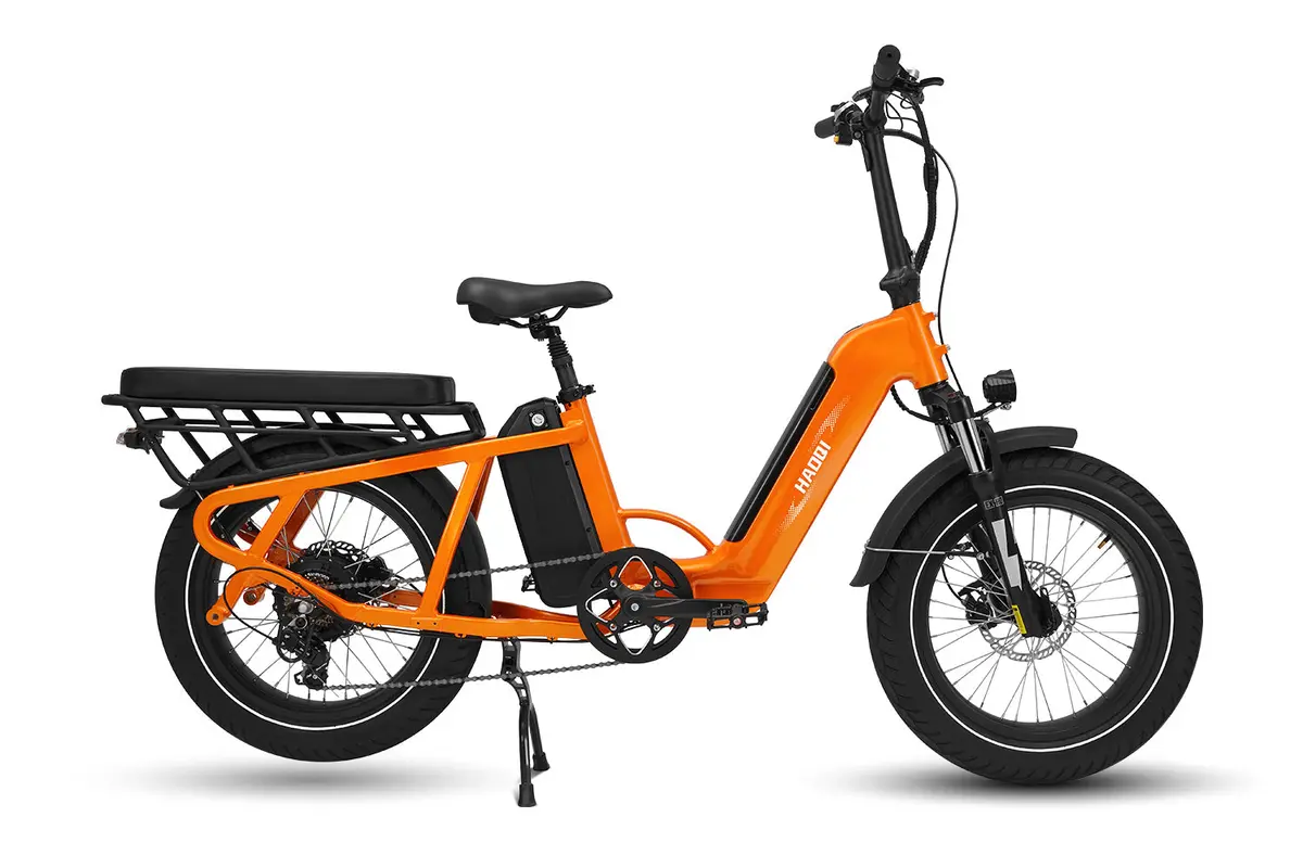 Haoqi 27.8Ah Camel Electric Cargo Bike 1