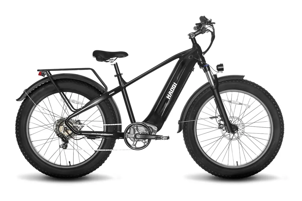 Haoqi Upgraded Eagle Long Range Electric Bicycle 1