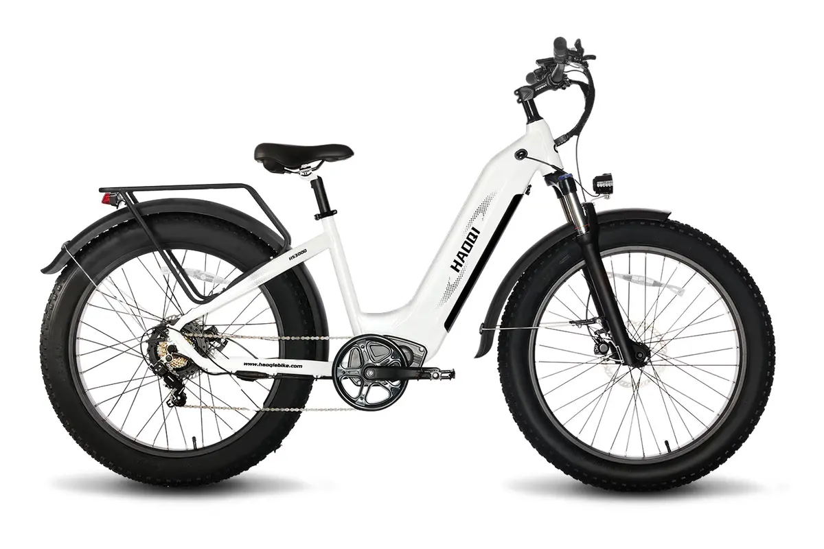Haoqi Eagle Long Range Electric Bicycle 1
