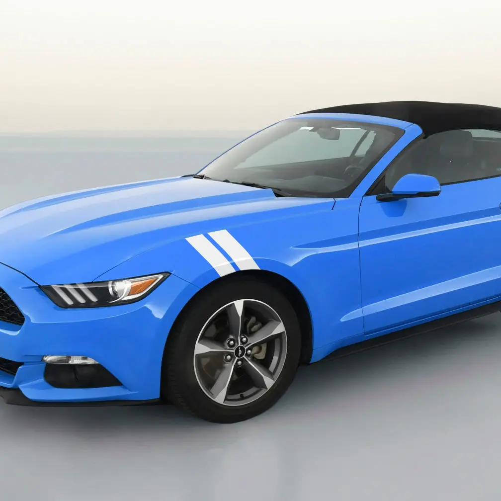 Ford Mustang Dual Fender Stripe Kit 1