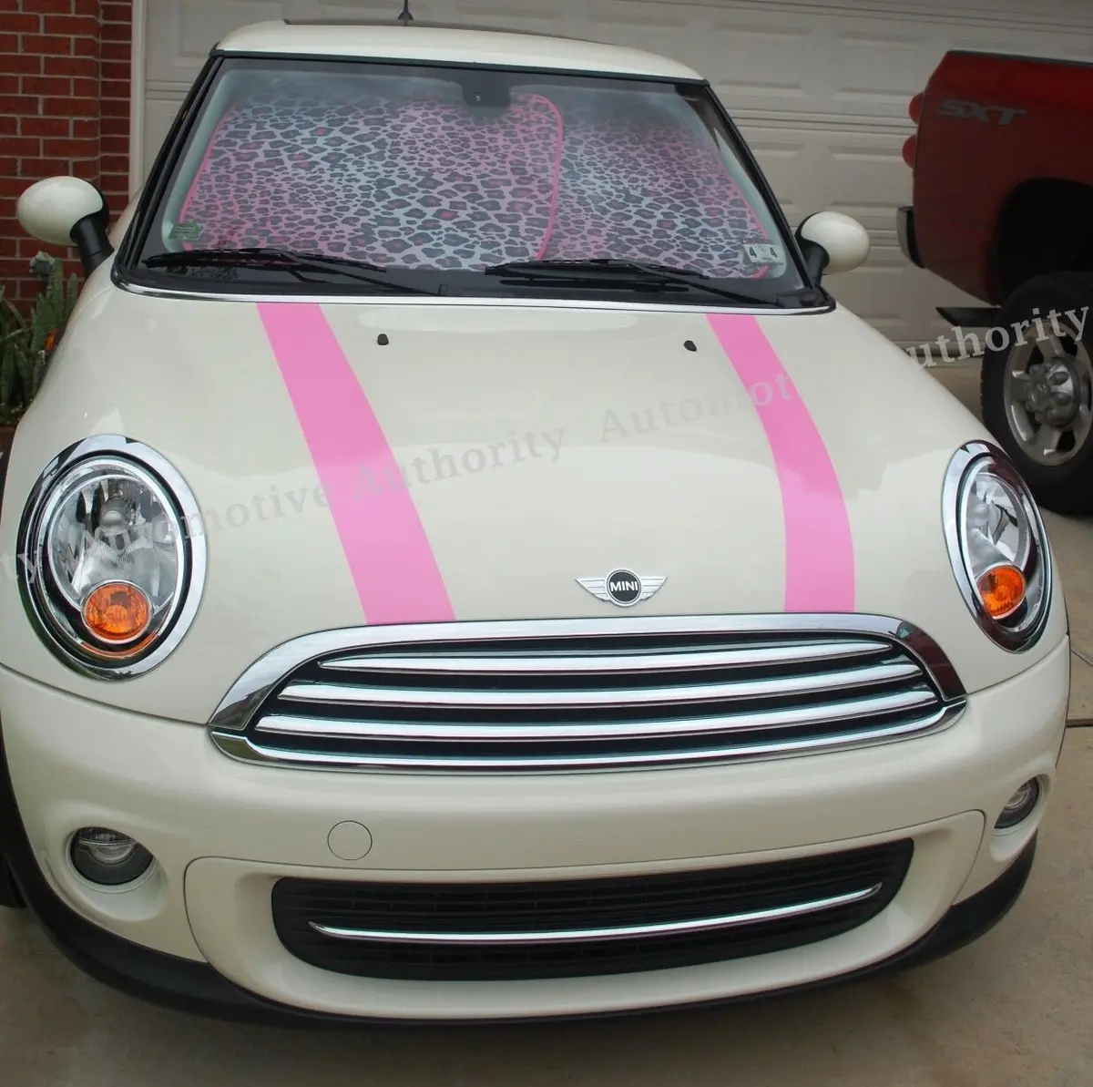 Mini Cooper Dual Racing Stripe Kit 4