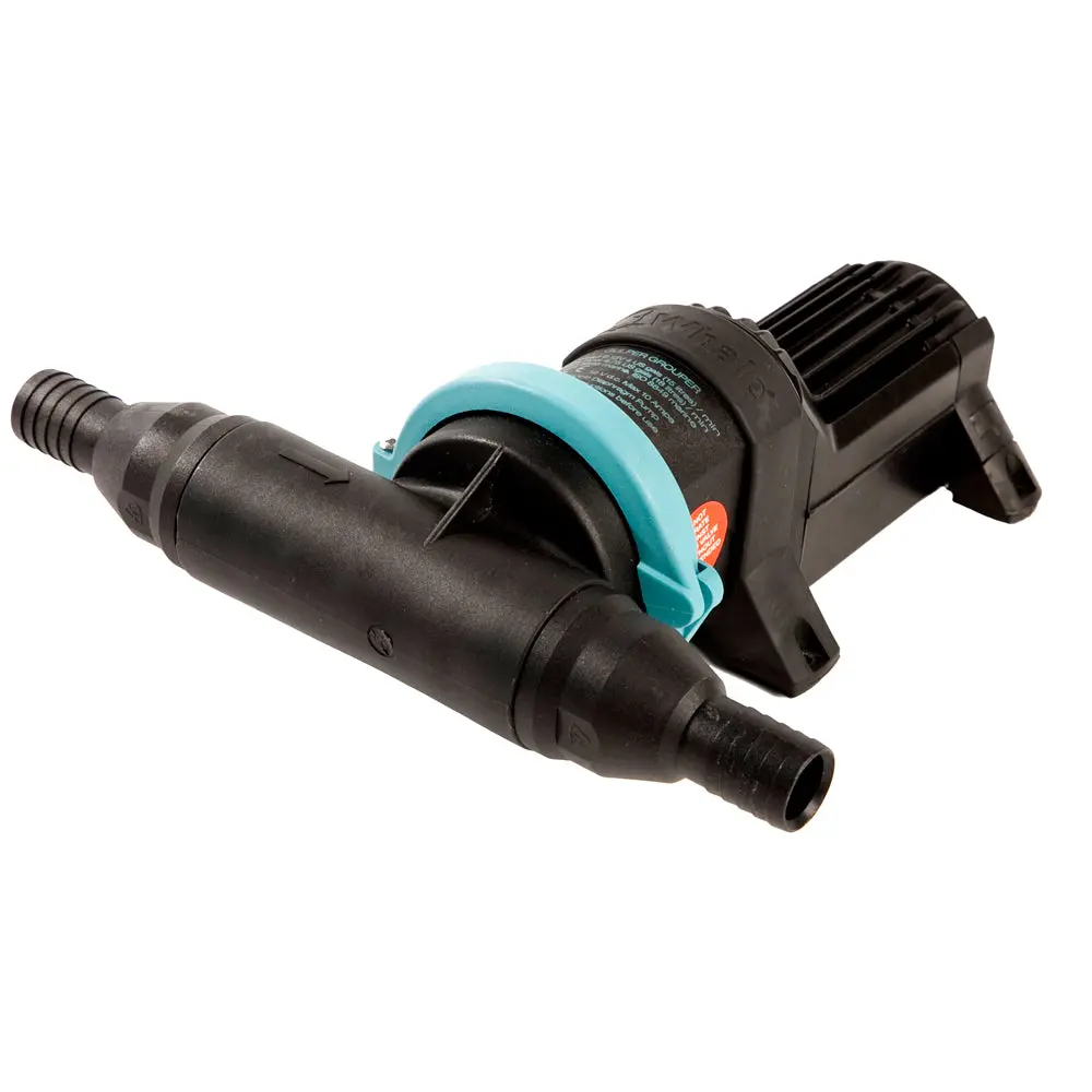 Whale Gulper Grouper Fishbox Evacuation Pump 12V [Bp4572] 1
