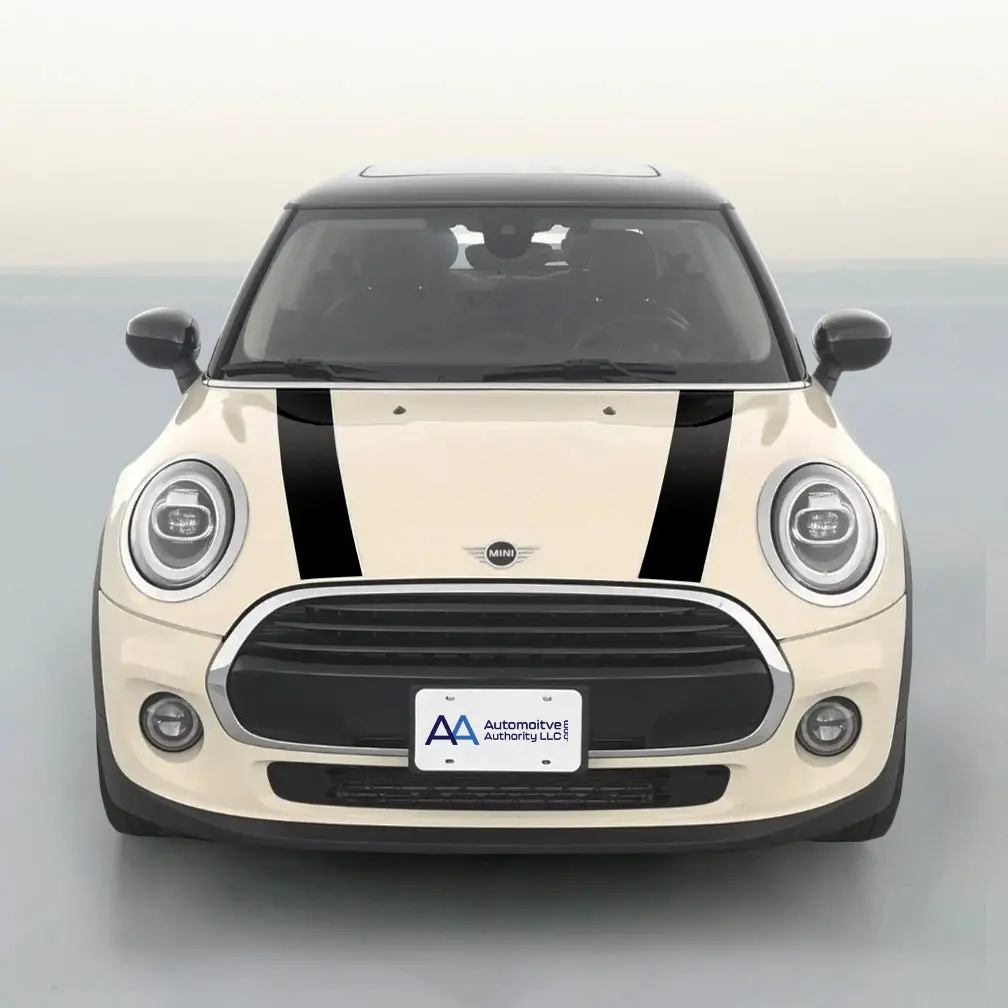 Mini Cooper Dual Racing Stripe Kit 2