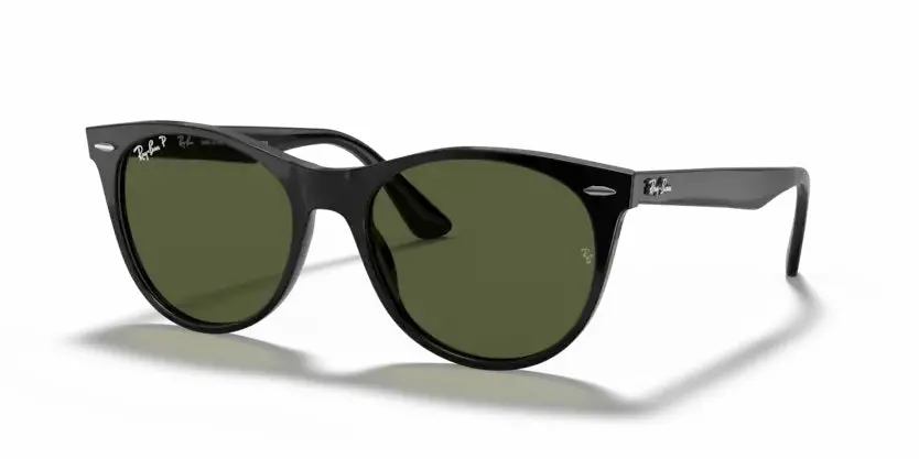 Ray-Ban Evolution Wayfarer Ii 1