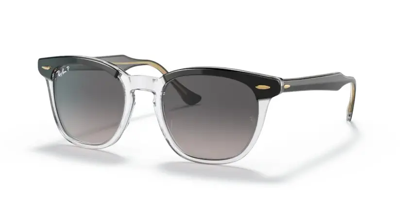 Ray-Ban Evolution Hawkeye Rb2298 1