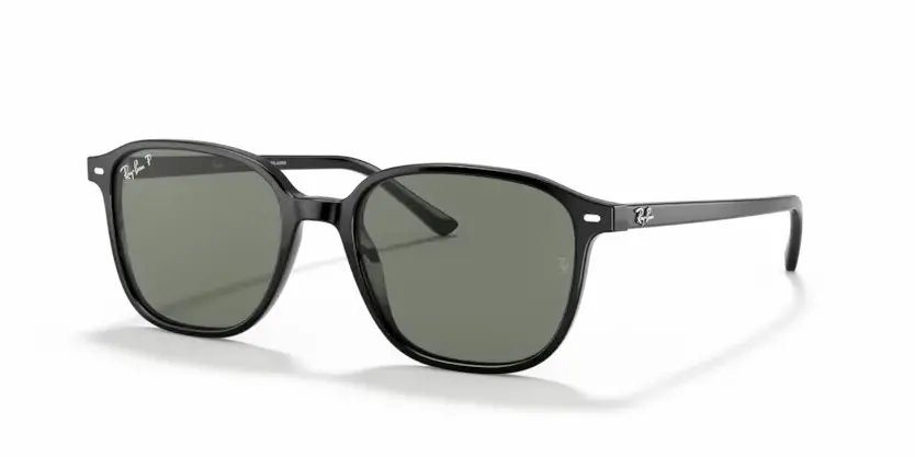 Ray-Ban Evolution Leonard Rb2193 1