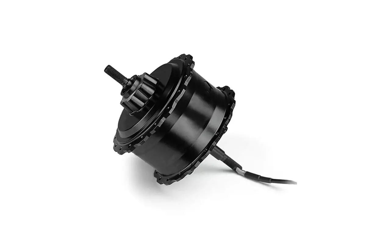 Brushless Gear Hub Motor 1