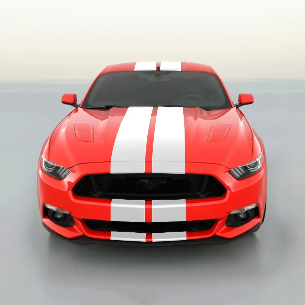 Ford Mustang Dual Racing Stripe Kit 1