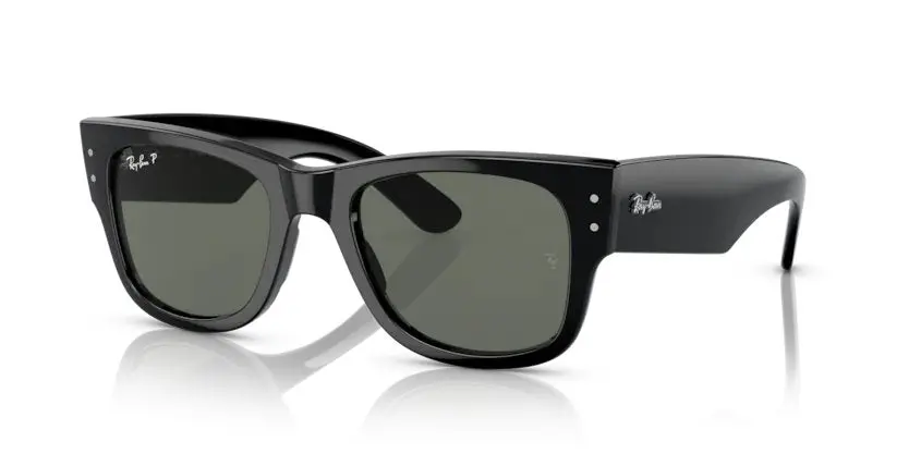 Ray-Ban Evolution Mega Wayfarer 1