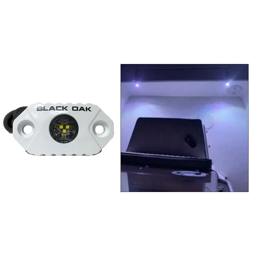 Black Oak Rock Accent Light - White Leds - White Housing [Mal-W] 1