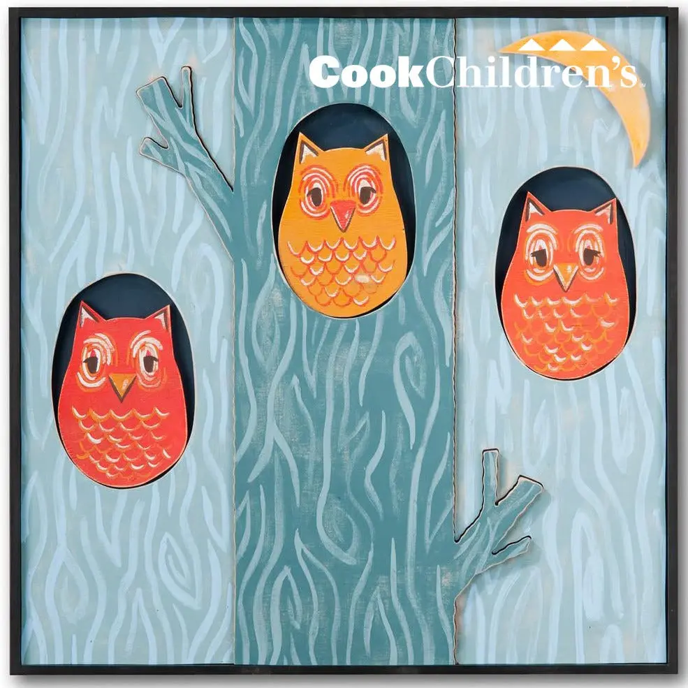 Cook Children's Health Care System 1