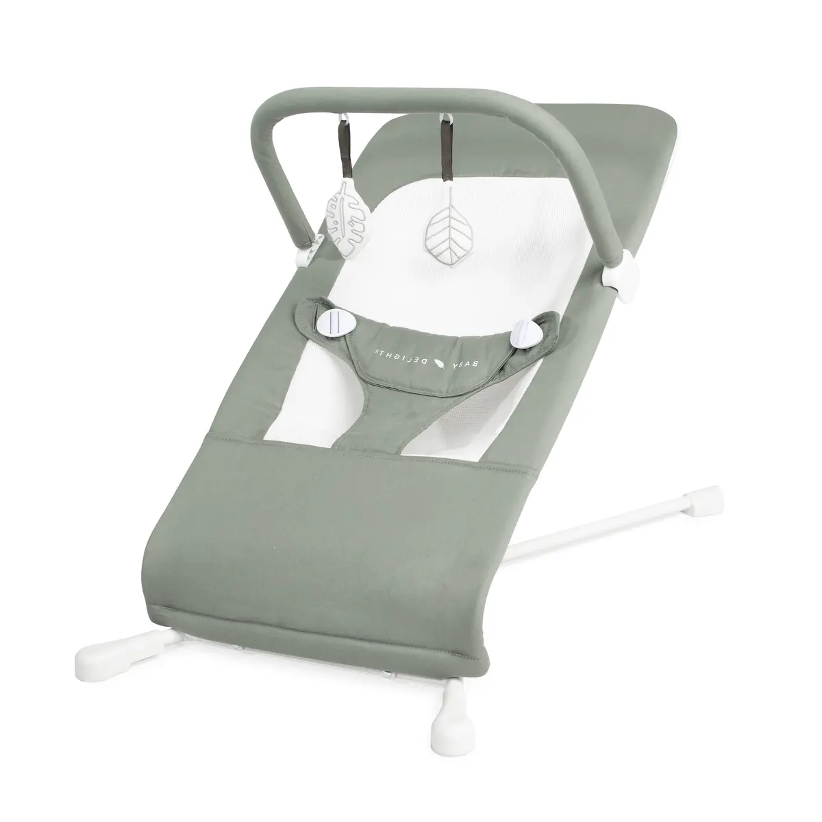 Highland Organic Portable Bouncer 1