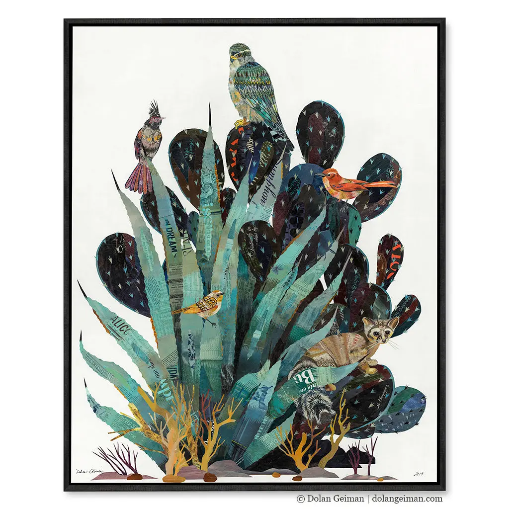 Baja Backcountry (Ring-Tailed Cat) Canvas Art Print With Float Frame 1