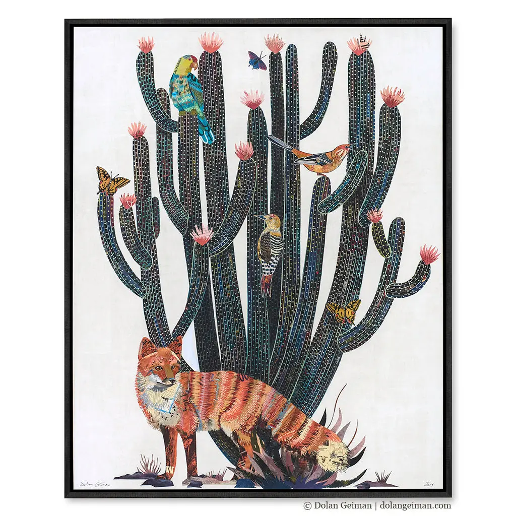 Baja Backcountry (Fox) Canvas Print With Float Frame 1