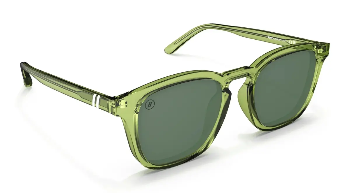 Blenders Sydney Sunglasses 1