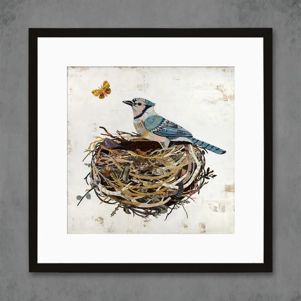 Blue Jay In Nest Limited Edition Paper Print 7