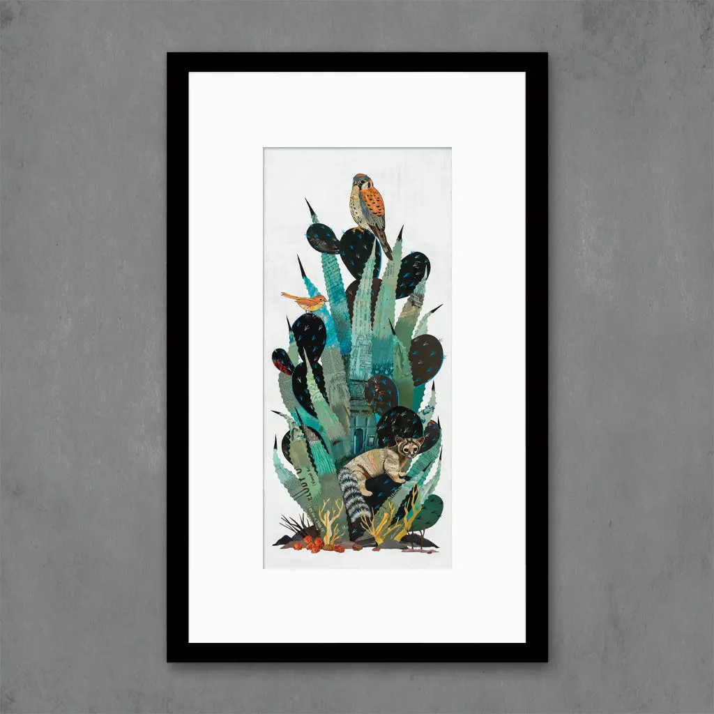 Cactus Country (Ring-Tailed Cat) Limited Edition Paper Print 5