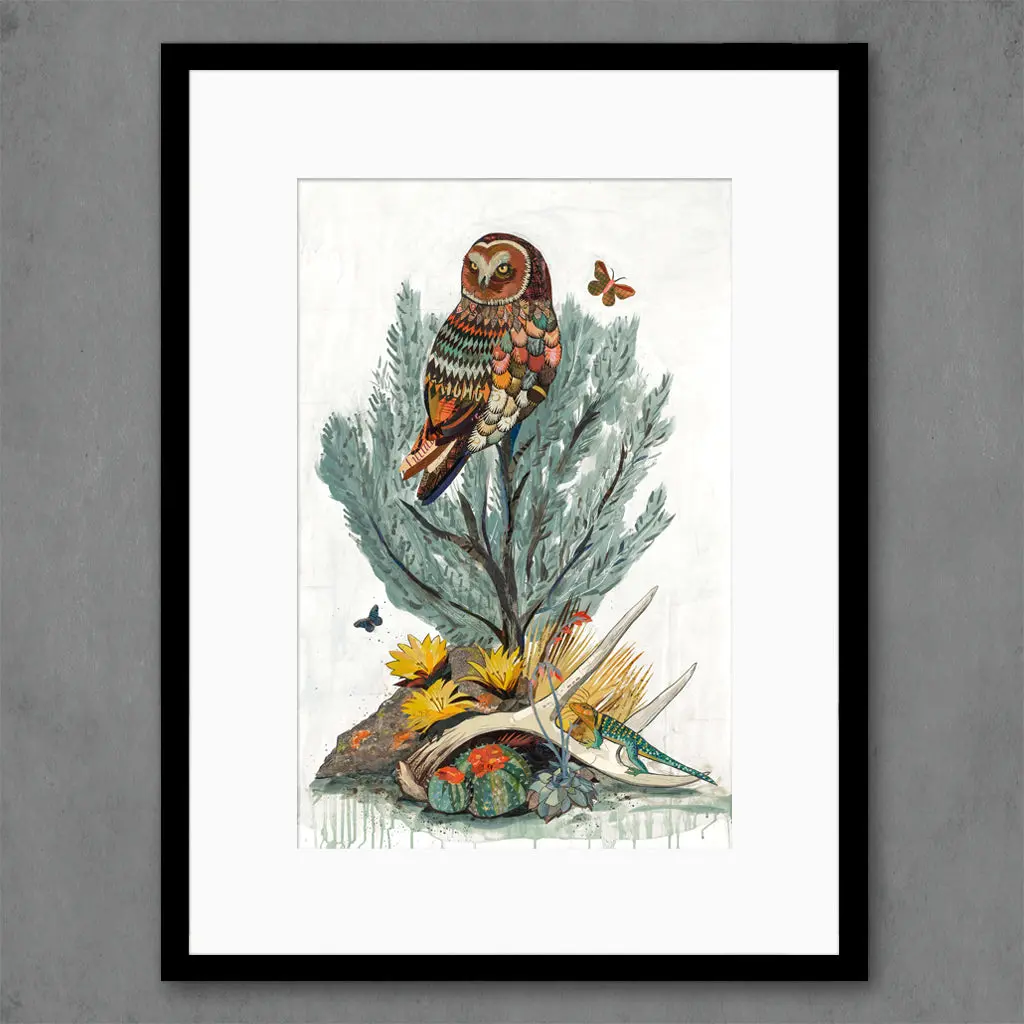 Cotopaxi Sage  Limited Edition Paper Print 1