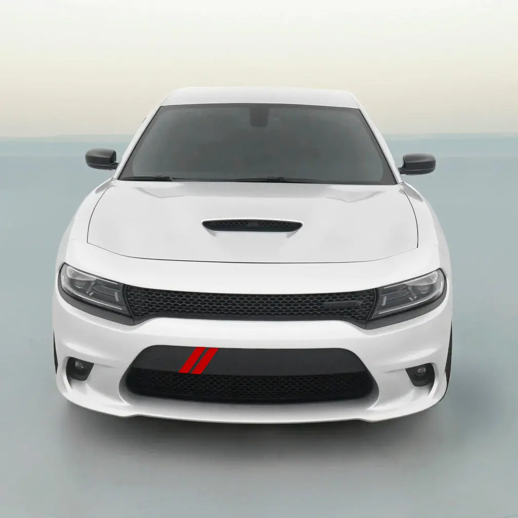 Dodge Charger Bumper Hash Stripe 1