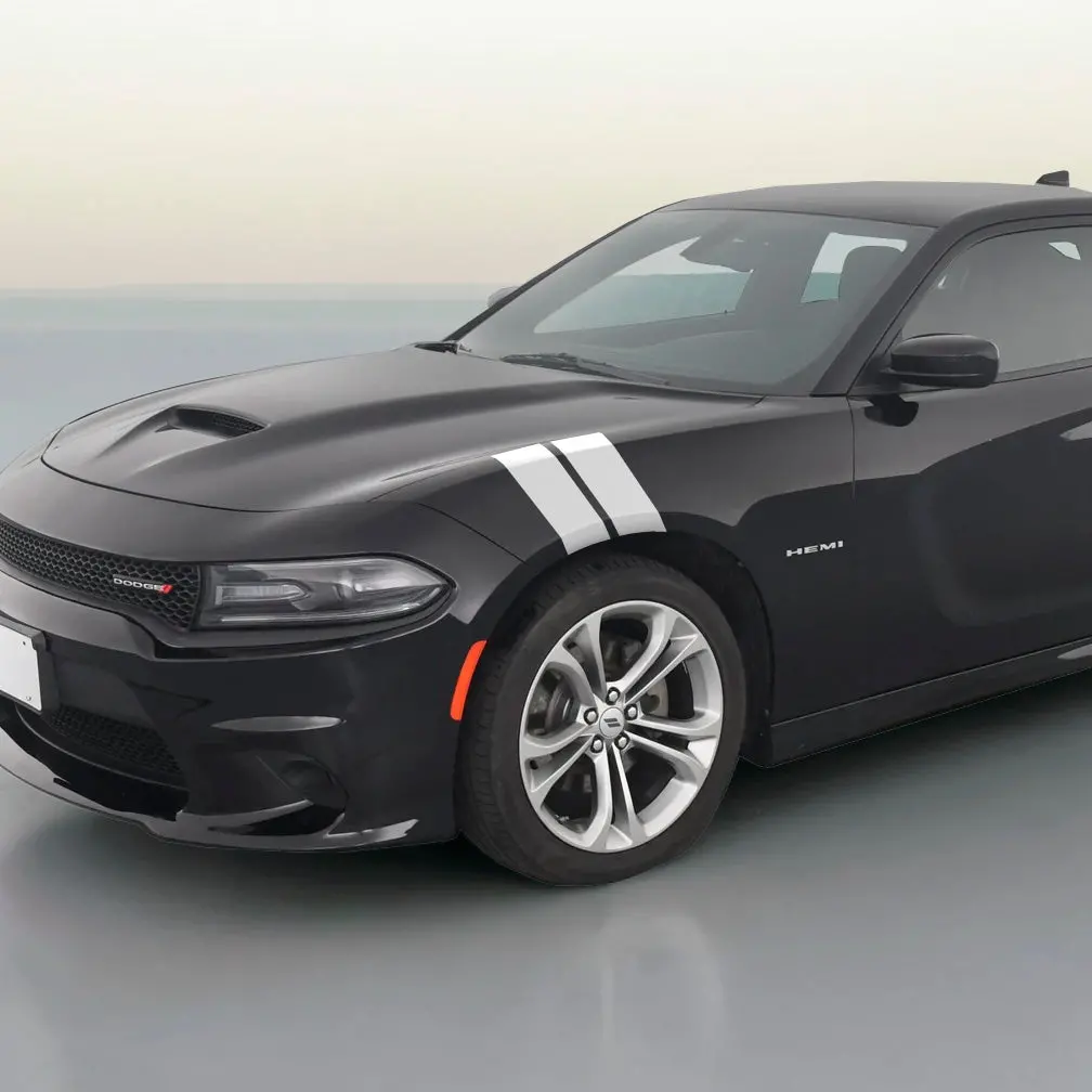 Dodge Charger Dual Fender Stripe Kit 1