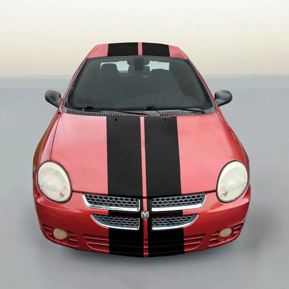 Dodge Neon Dual Racing Stripe Kit 1