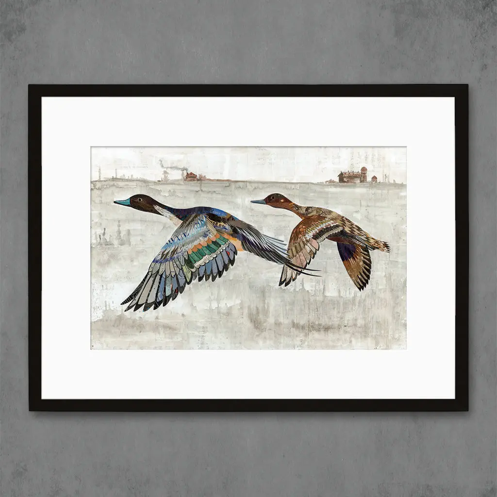 Pintail Ducks Limited Edition Paper Print 5