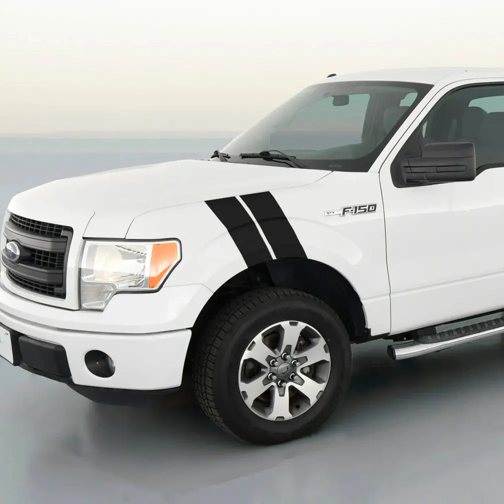 Ford F150 Dual Fender Stripe Kit 1