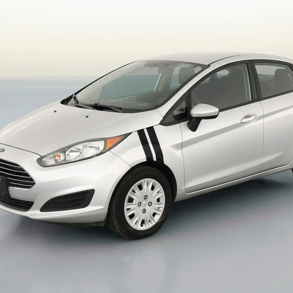 Ford Fiesta Dual Fender Stripe Kit 1