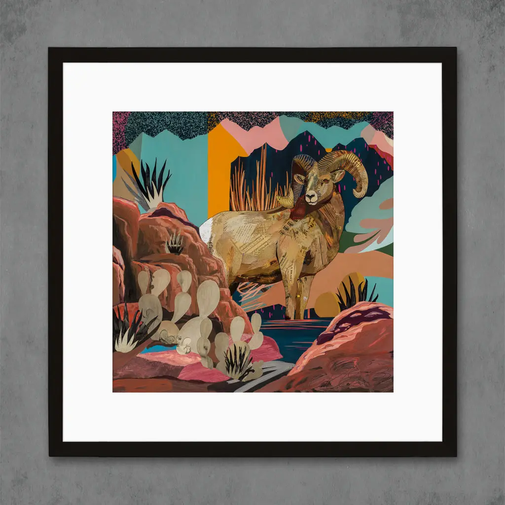 Bighorn Sheep Country Limited Edition Paper Print 5