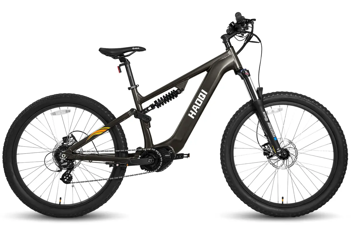 Haoqi Mustang Premium Electric Mountain Bike 1