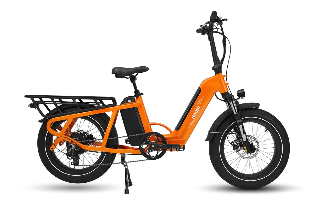 Haoqi Camel Electric Cargo Bike 1