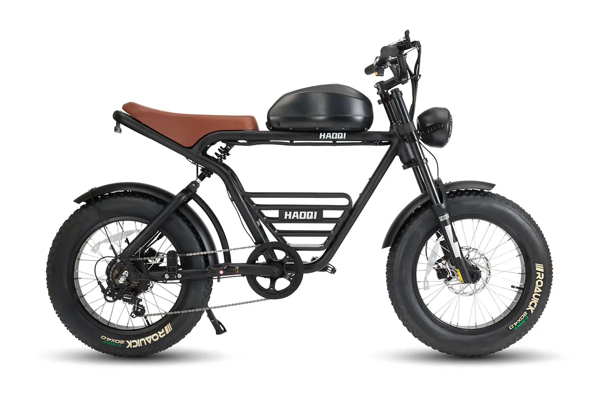 Haoqi Rhino2.0 Electric Motorbike 1