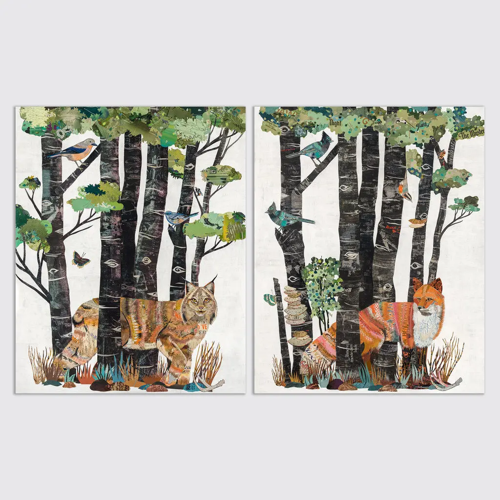 High Country Summer (Lynx) Limited Edition Paper Print 7