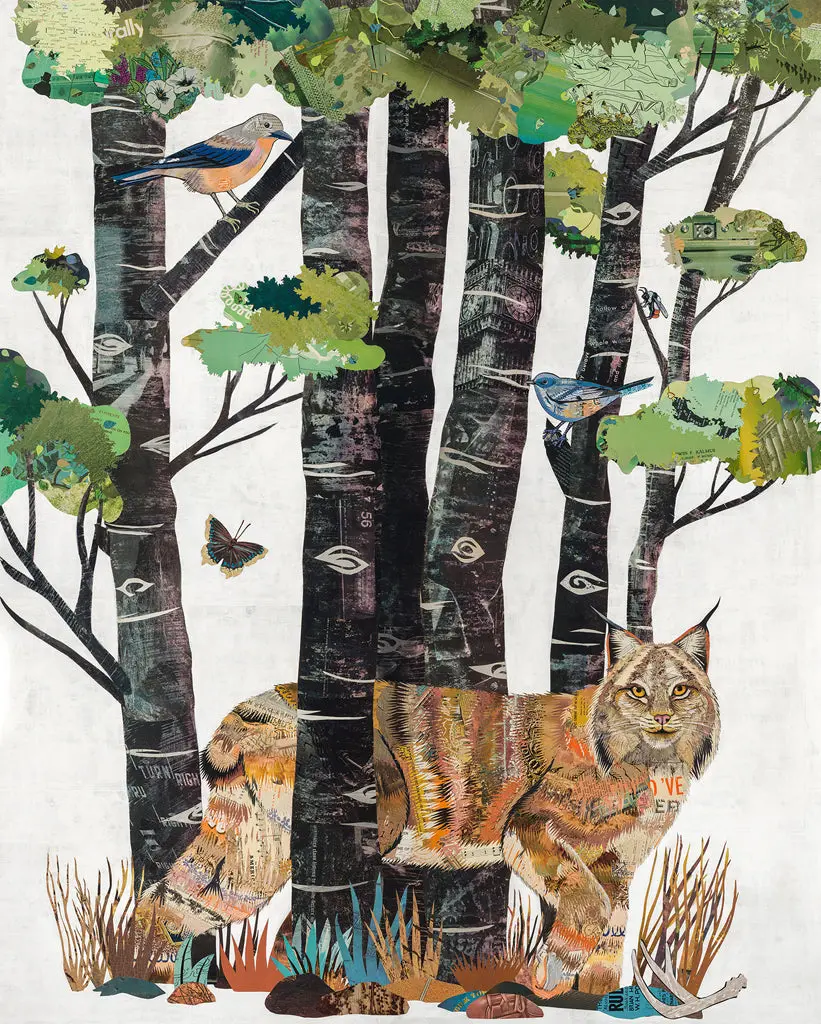 High Country Summer (Lynx) Limited Edition Paper Print 5