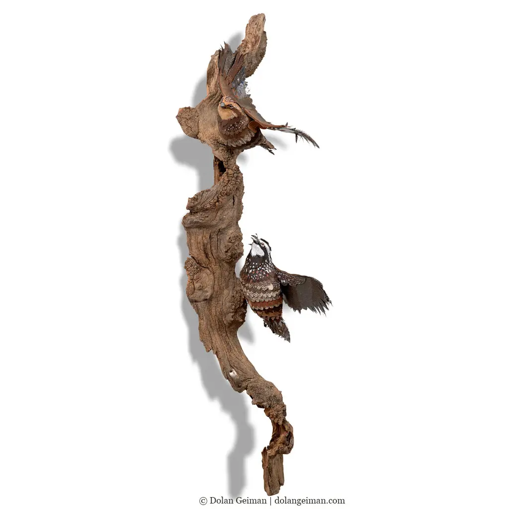 Custom Quail Original 3D Sculpture 1