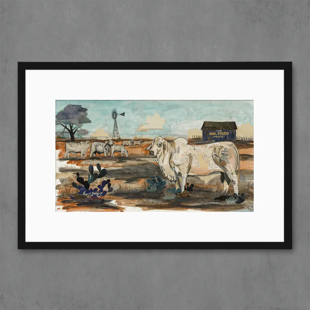 Mail Pouch Brahman Limited Edition Paper Print 1