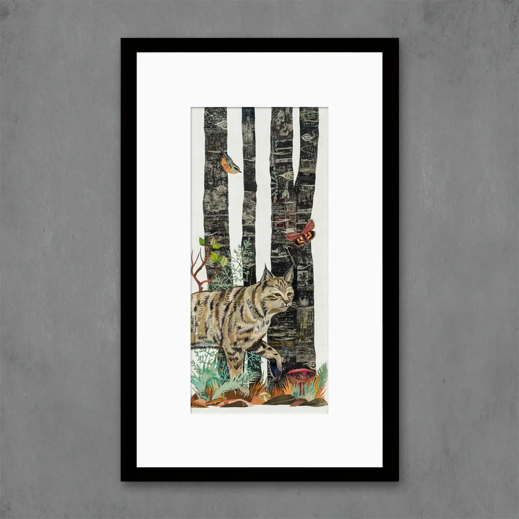 Midnight Forest (Bobcat) Limited Edition Paper Print 5