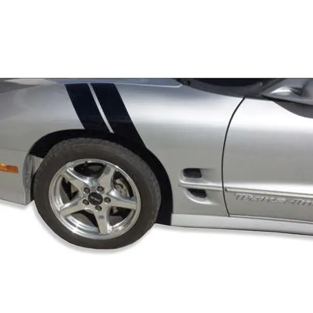 Pontiac Firebird / Trans Am Dual Fender Stripe Kit 1
