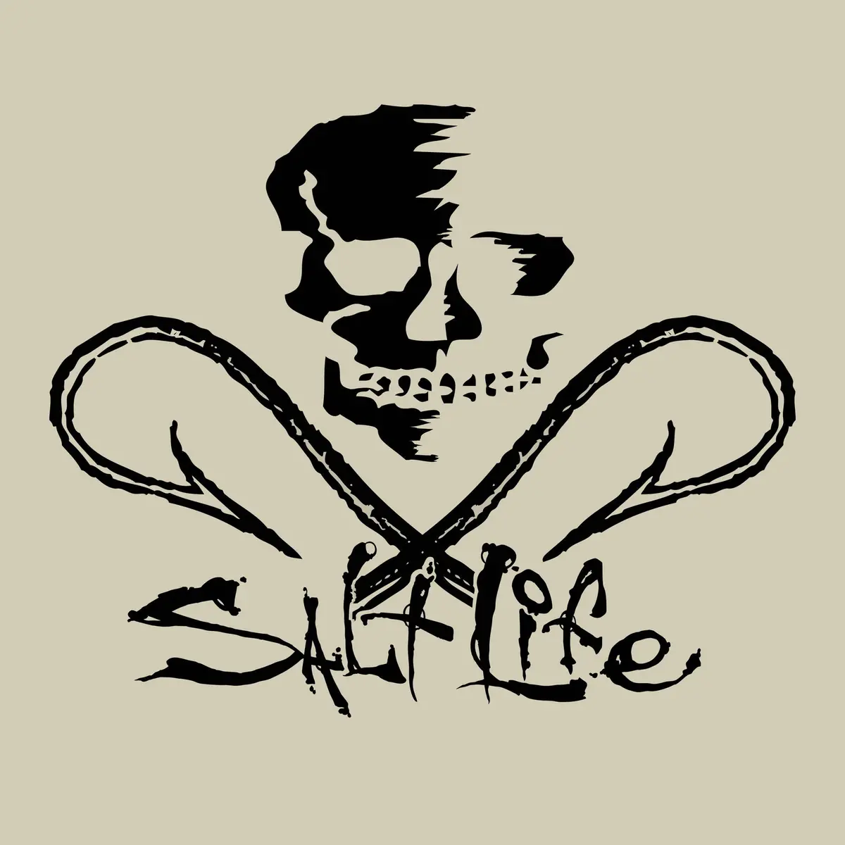 Salt Lift Hooked Skull Decal 2