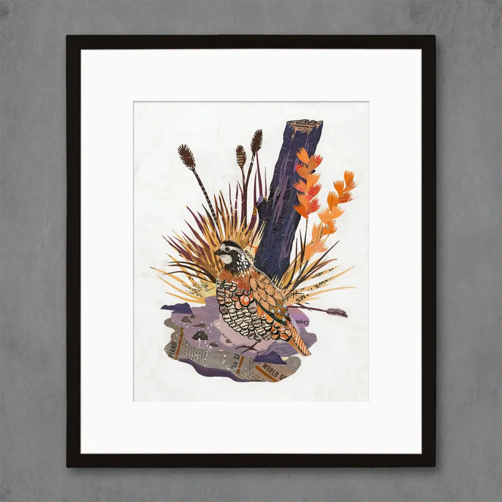 Animals Of North America: Quail Limited Edition Paper Print 1