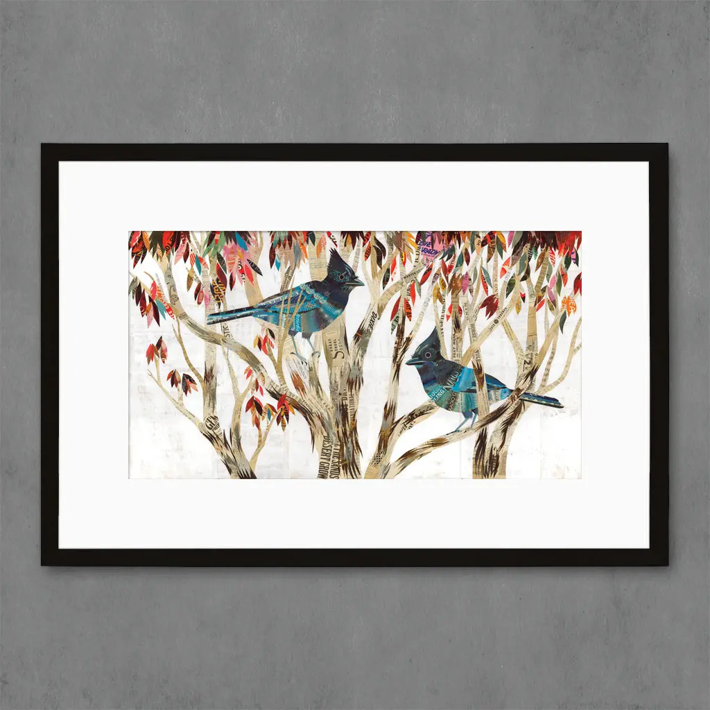 Steller's Jay Limited Edition Paper Print 1