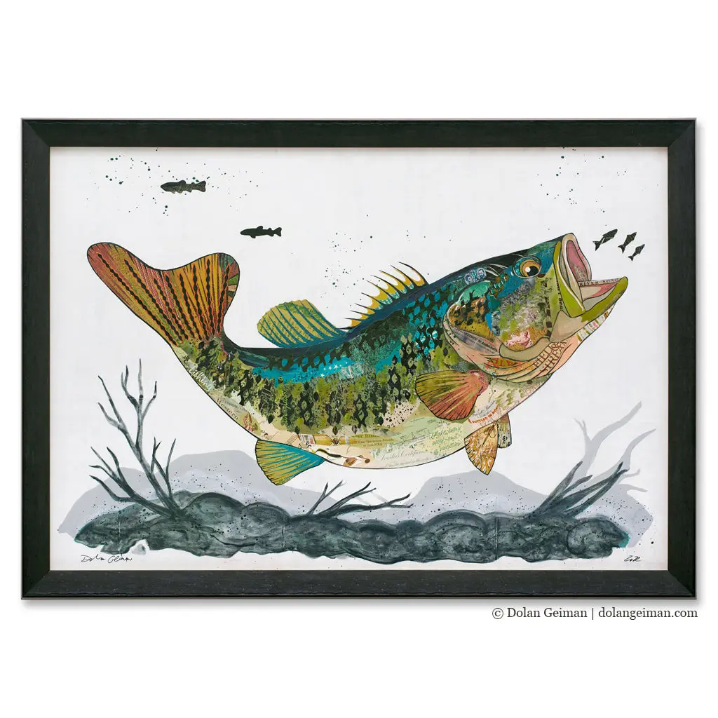 Summer Bass Original Paper Collage 1