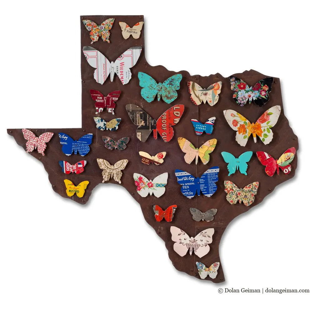 Texas Butterflies Colorful State Art Map Original Metal Wall Sculpture 1