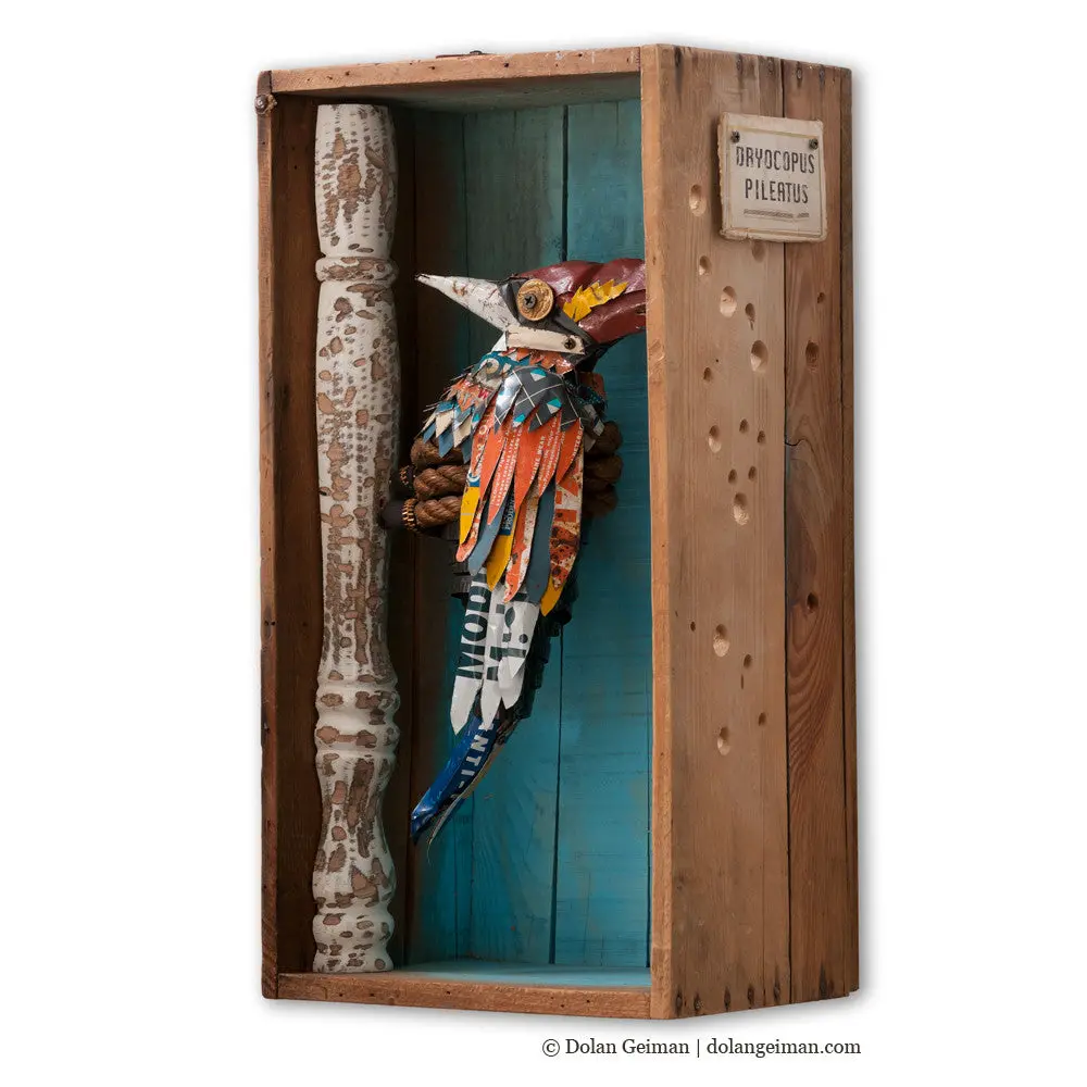 Woodpecker Diorama Original Mixed Media Wall Art 1