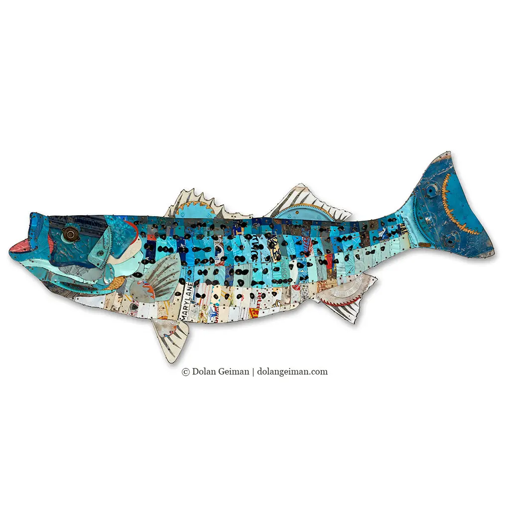Trophy Fish (Striped Bass) Original Metal Wall Sculpture 1