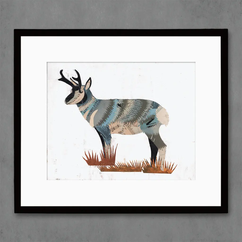 Animals Of North America: Pronghorn Limited Edition Paper Print 1