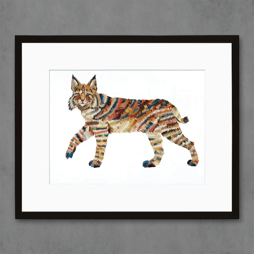 Animals Of North America: Bobcat Limited Edition Paper Print 1